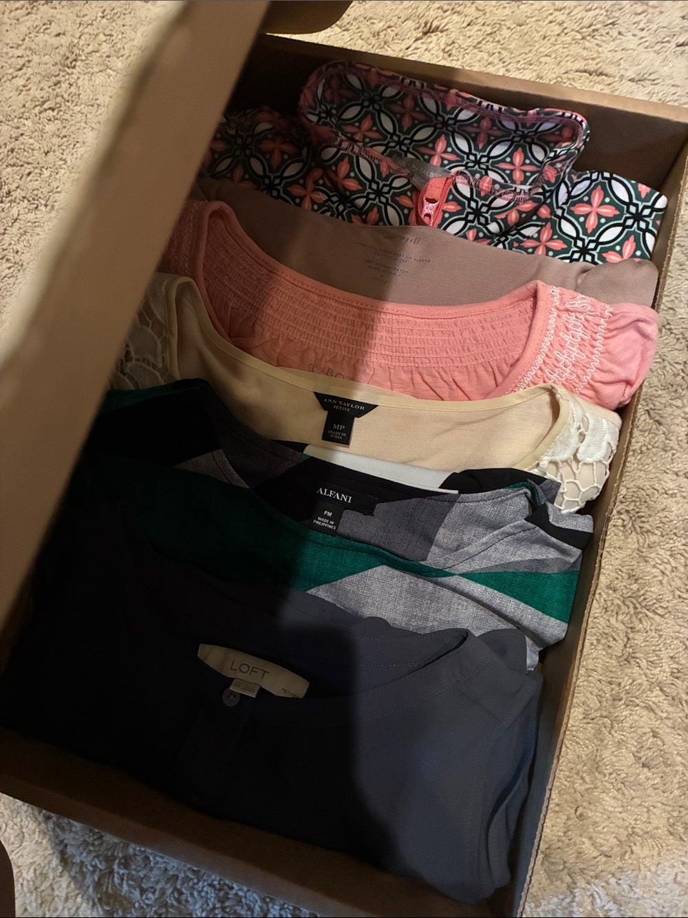 Partial Mystery Box: SIX Medium Petite Tops!